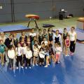 Les gymnastes